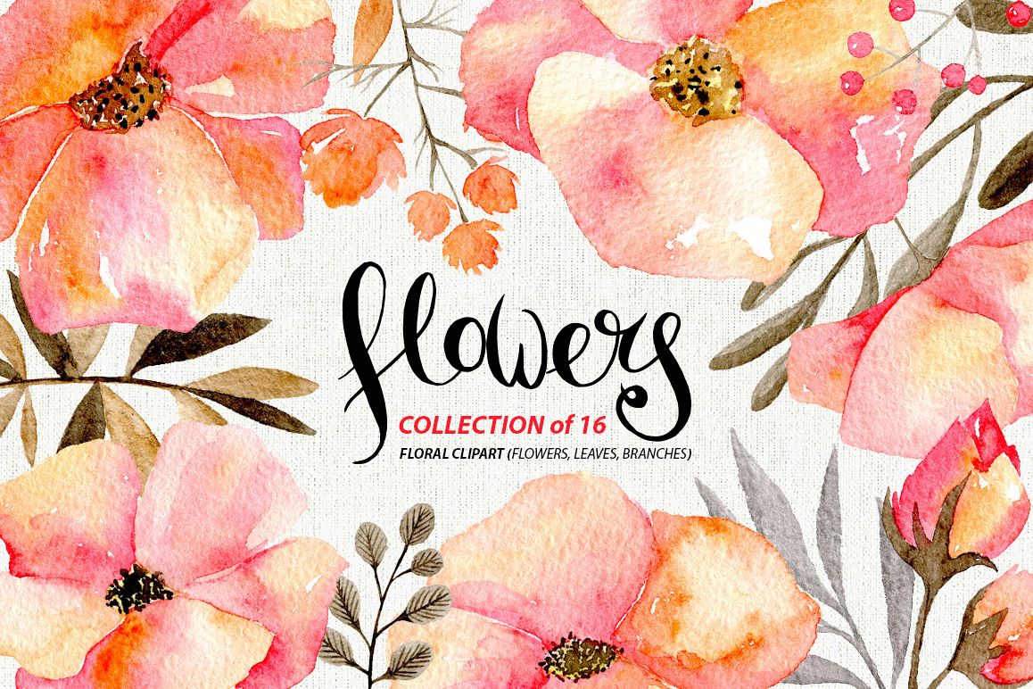 1158x772 Gentle Watercolor Flowers, 16 Png - Watercolor Flower Design
