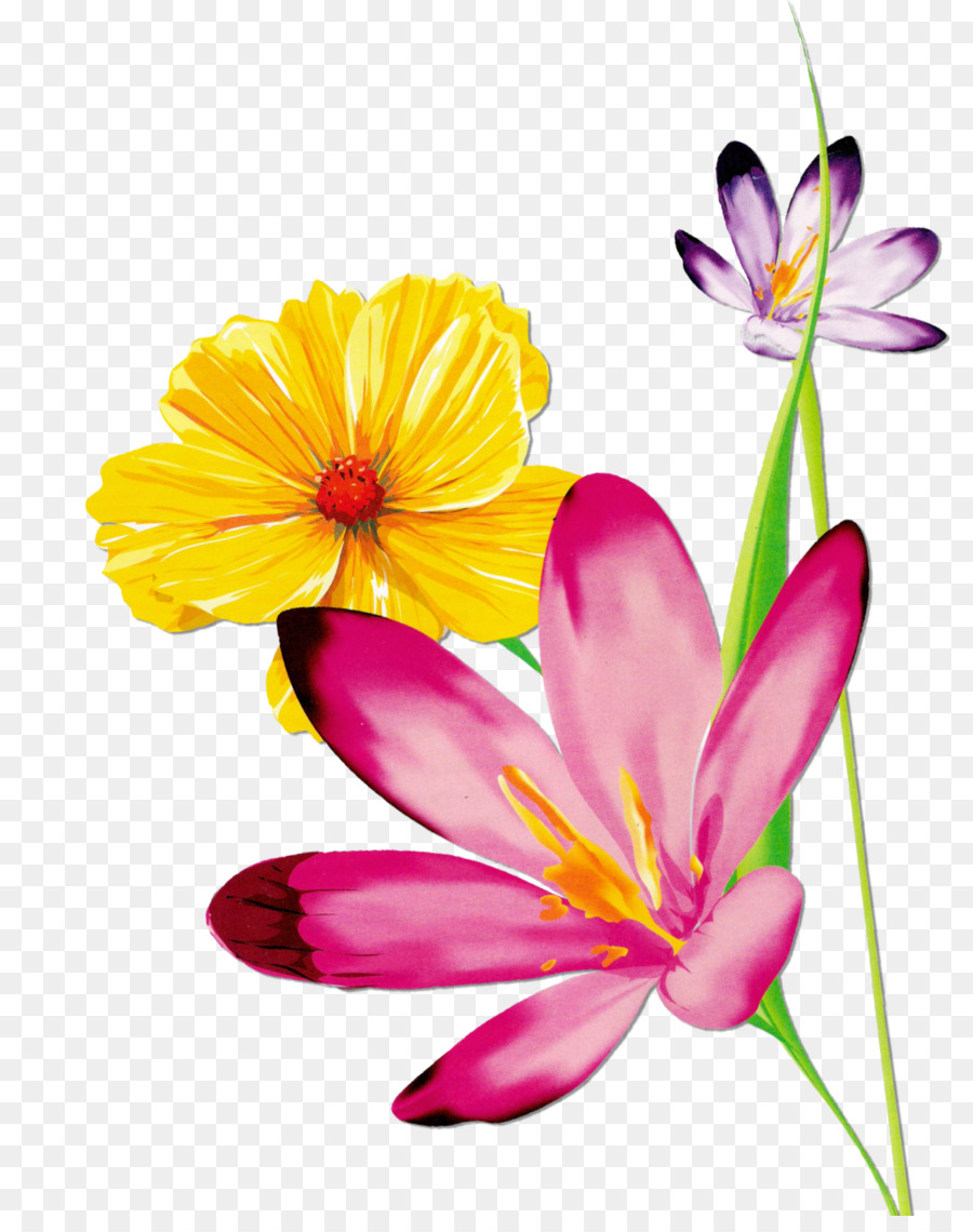 900x1140 Download Butterfly Flower Floral Design Watercolor Flowers Floral - Watercolor Flower Design