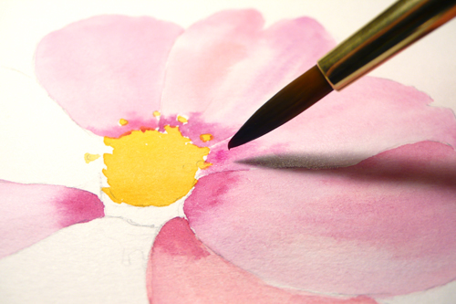 500x333 Paint Draw Paint, Learn To Draw Water Color Basics A Cosmos Flower - Watercolor Flower Drawing