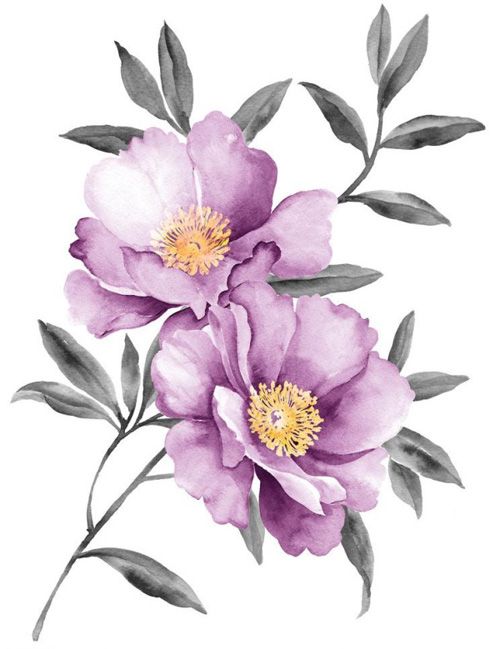 500x649 Purple Peony Watercolor Vector Beautiful In 2018 - Watercolor Flower Drawing