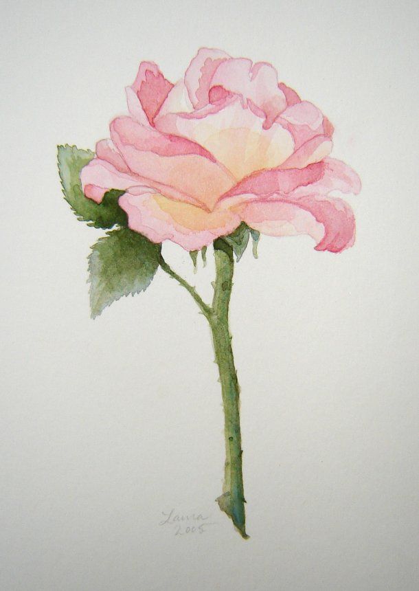 610x860 Related Image Blooms Flower Watercolor, Watercolor - Watercolor Flower Drawing