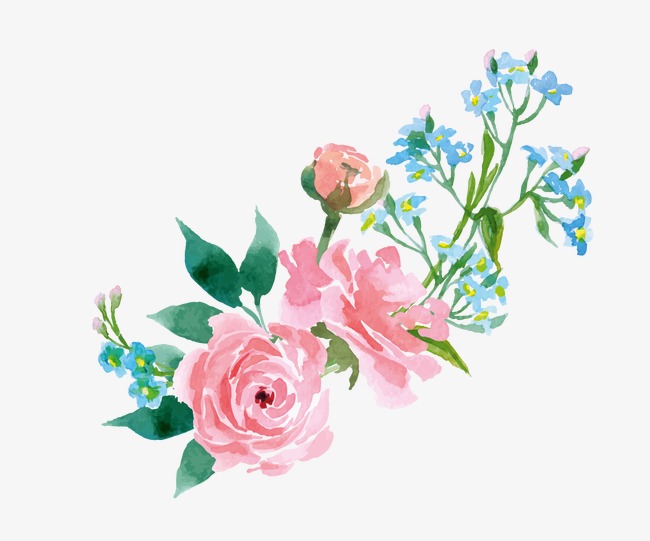 650x541 Watercolor Flowers, Watercolor Clipart, Drawing Plant, Flowers Png - Watercolor Flower Drawing