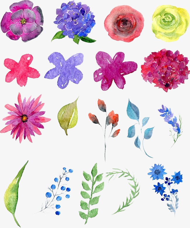 650x778 Watercolor Flowers, Watercolor Clipart, Drawing Plant Png Image - Watercolor Flower Drawing