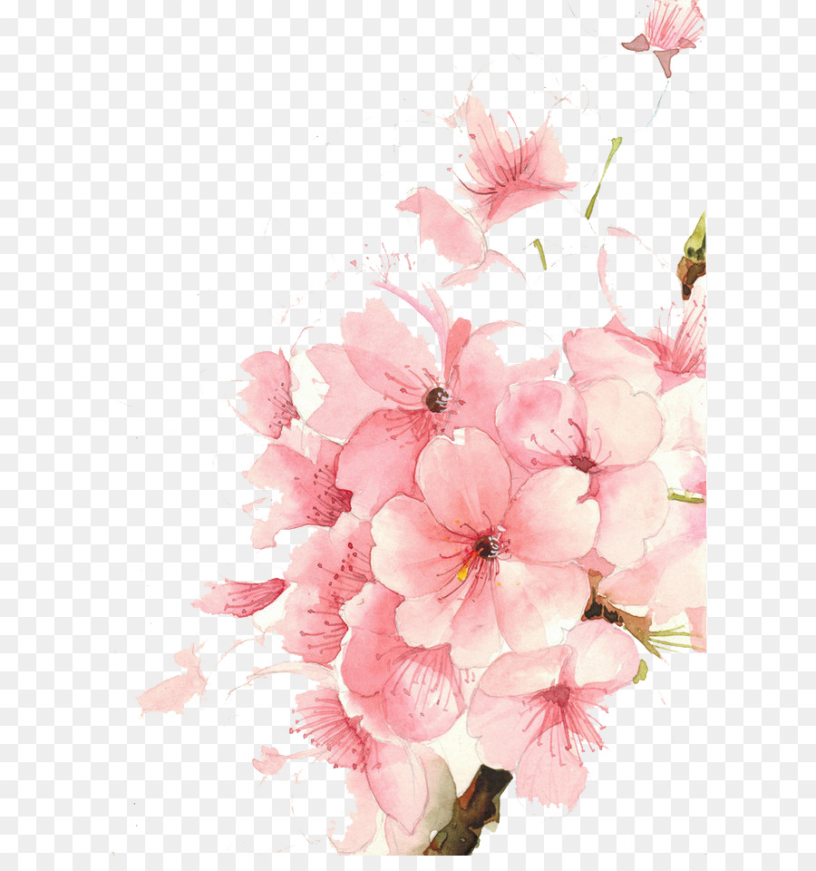 900x960 Watercolour Flowers Watercolor Painting Drawing - Watercolor Flower Drawing