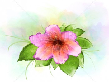 350x263 Dagubi Tutorial - Watercolor Flower Drawing