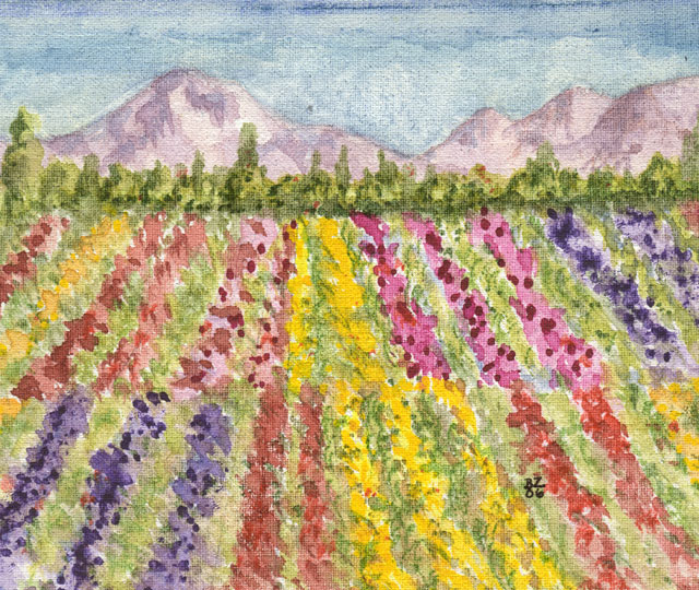 640x540 Flower Fields - Watercolor Flower Field