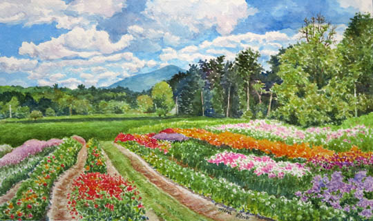 540x320 Mira Fink. Fine Art Inspired By Nature - Watercolor Flower Field