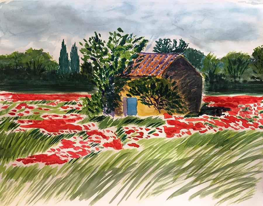 900x705 Original Watercolor Painting 11x14 Poppy Flower Field Painting By - Watercolor Flower Field