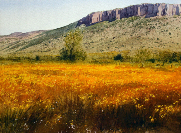 580x427 Robert Highsmith Western Landscapes Flower Field Watercolor - Watercolor Flower Field