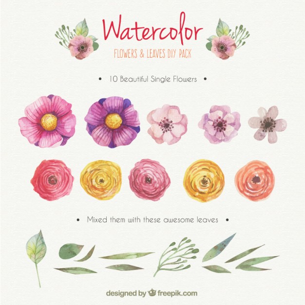 626x625 Watercolor Flowers And Leaves Diy Pack Vector Free Download - Watercolor Flower Free Download