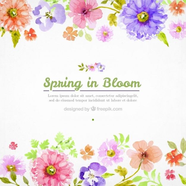 626x626 Ai] Watercolor Flowers Spring Background Vector Free Download - Watercolor Flower Free Download
