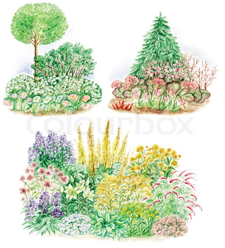 725x800 Watercolors Hand Painted Pictures Of Garden Design And Three Types - Watercolor Flower Garden