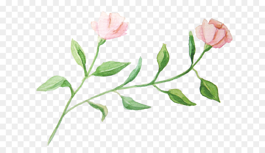 900x520 Watercolour Flowers Garden Roses Watercolor Painting - Watercolor Flower Garden