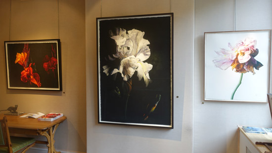 550x309 Making A Mark Watercolour Paintings Of Flowers Sell Well - Watercolor Flower Paintings For Sale