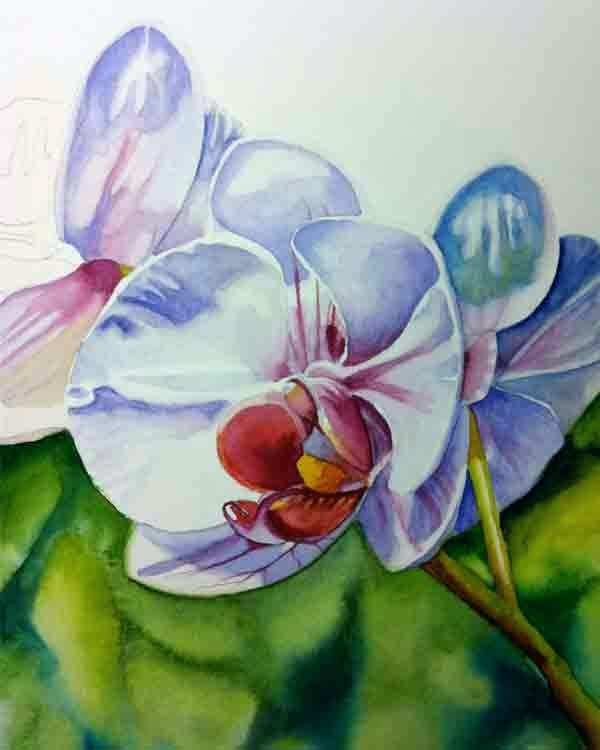 600x750 Tropical Flower Painting Paintings Sale Flowers Class 1 Orchids - Watercolor Flower Paintings For Sale