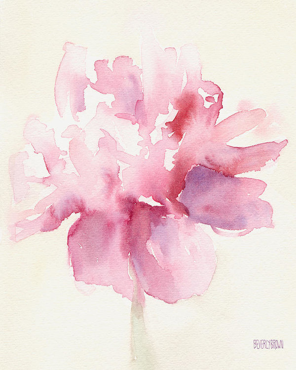 600x749 Pink Peony Watercolor Paintings Of Flowers Poster By Beverly Brown - Watercolor Flower Prints