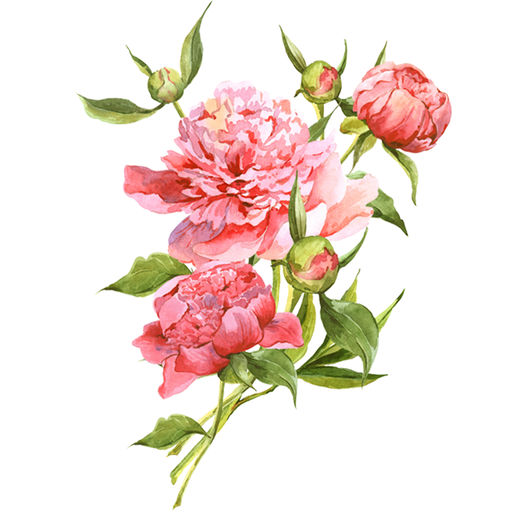 512x512 Watercolor Flower Bouquets Sticker Pack App Data Amp Review - Watercolor Flower Stickers