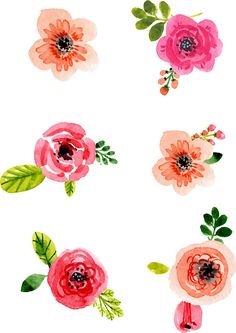 236x333 Watercolor Flower Sticker @redbubble Junkydotcom May 2016 - Watercolor Flower Stickers