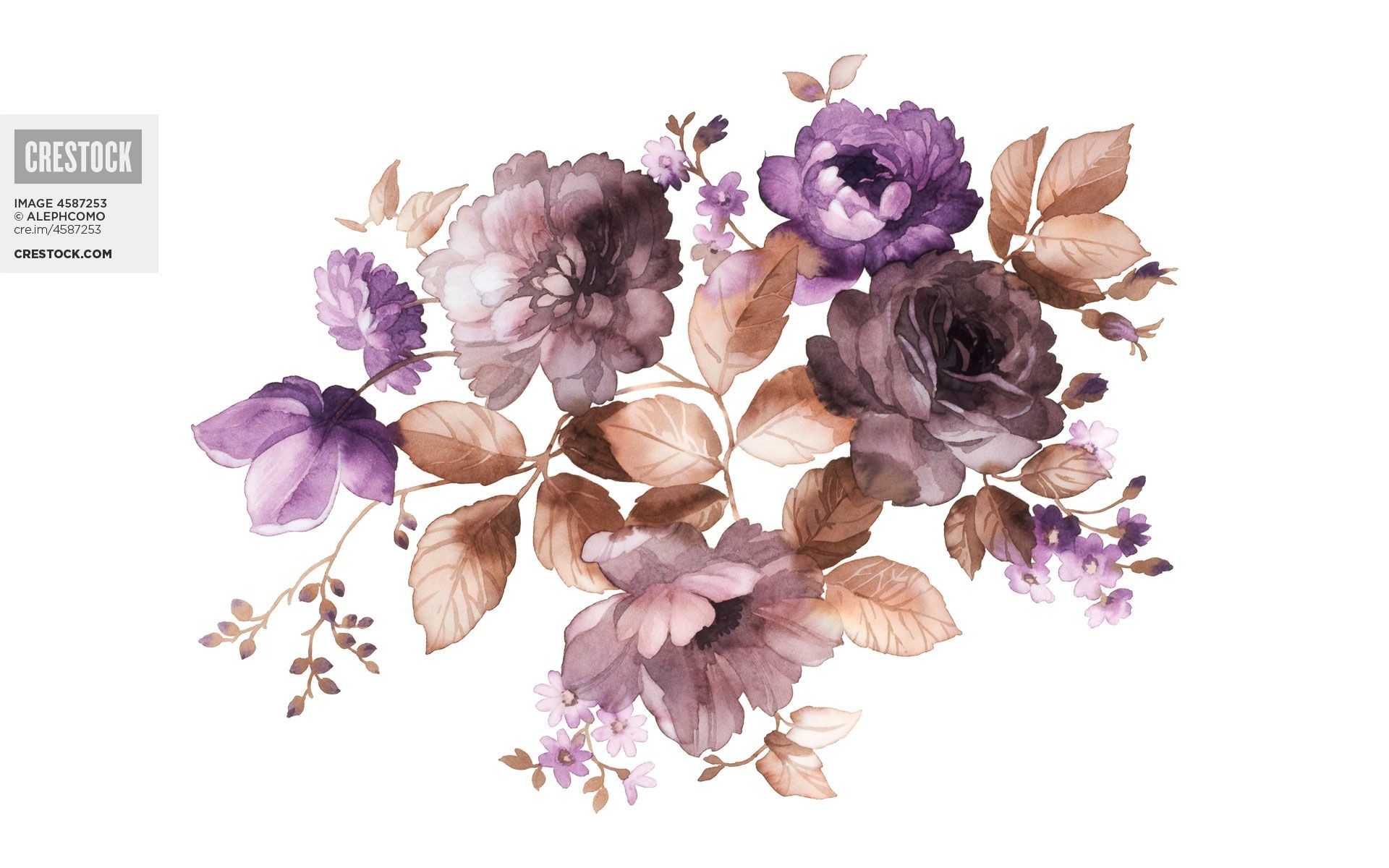 1920x1200 Watercolor Flowers Wallpaper Images) - Watercolor Flower Wallpaper For Walls