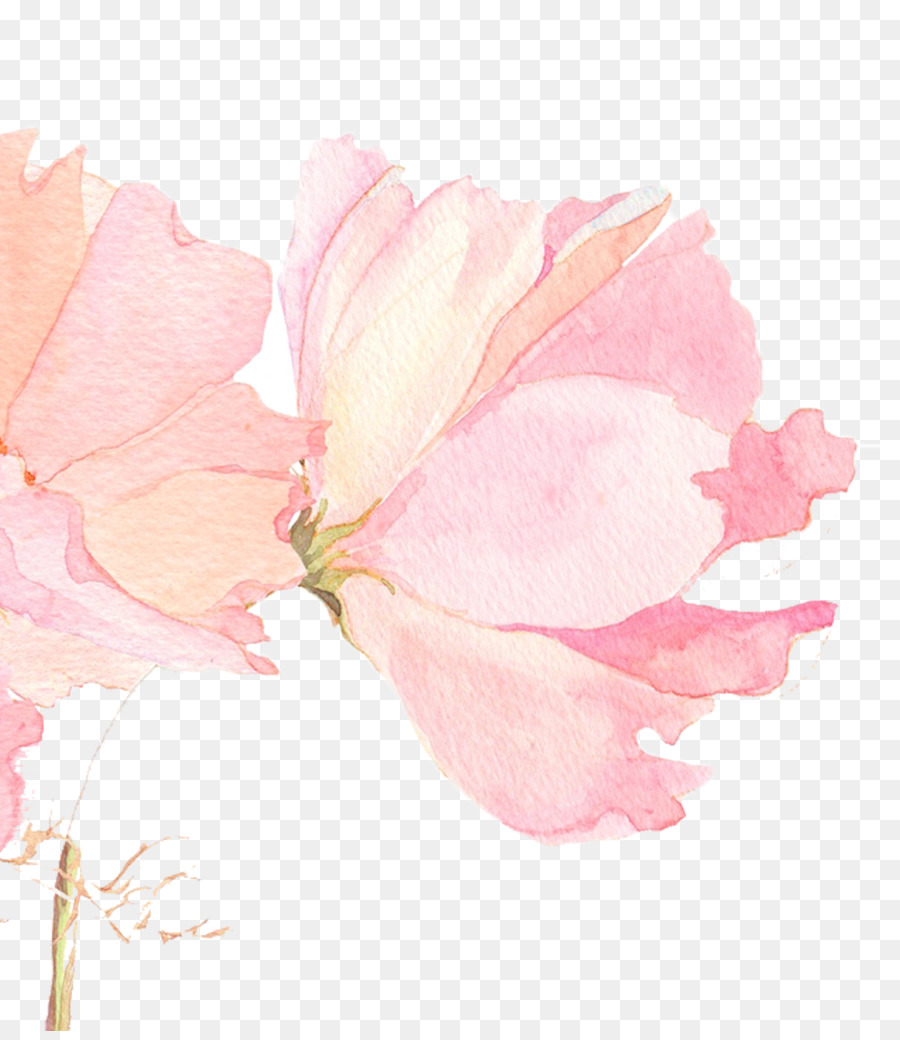 900x1040 Watercolour Flower Wallpaper Wallpapers) - Watercolor Flower Wallpaper For Walls