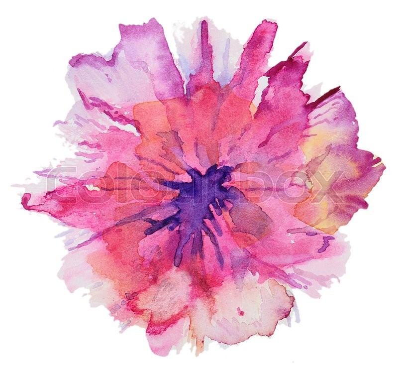 800x739 Abstract Watercolor Flower. Beautiful Watercolor Flowers On White - Watercolor Flowers