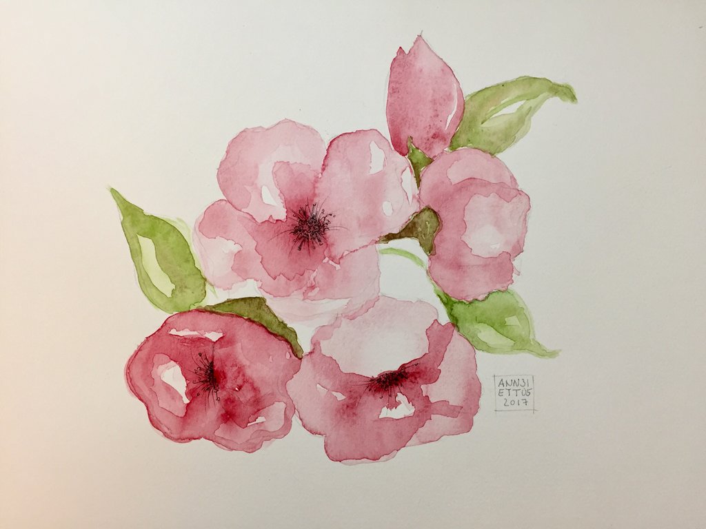 1024x768 Pink Watercolor Flowers By 8annett8 - Watercolor Flowers