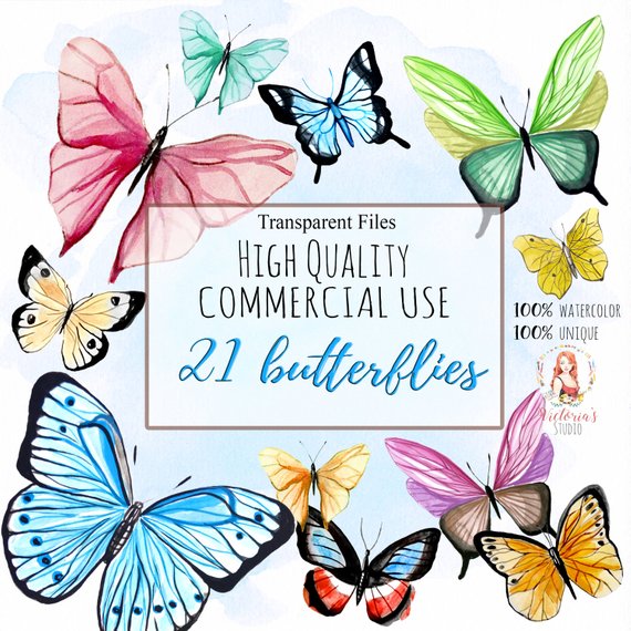 570x570 Watercolor Butterflies Watercolor Bundle Watercolor Clipart Etsy - Watercolor Flowers And Butterflies