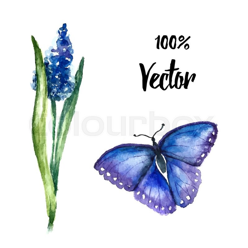 800x800 Watercolor Flowers Lupin. Floral Element Blossoming Lupins And - Watercolor Flowers And Butterflies