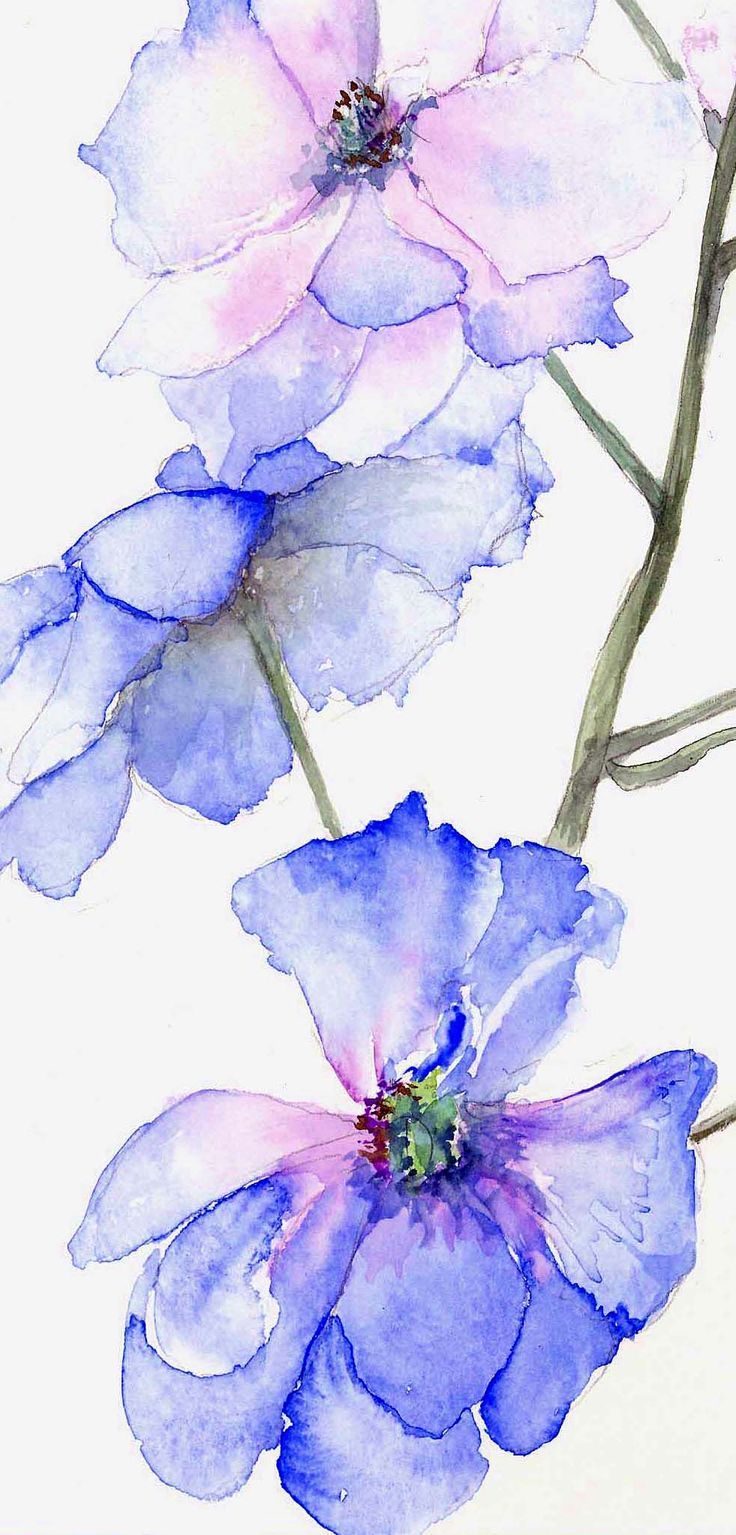 736x1535 Blue Watercolor Flowers Still Lifes - Watercolor Flowers Blue