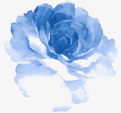 498x465 Blue Watercolor Flowers, Watercolor Clipart, Watercolor Flowers - Watercolor Flowers Blue