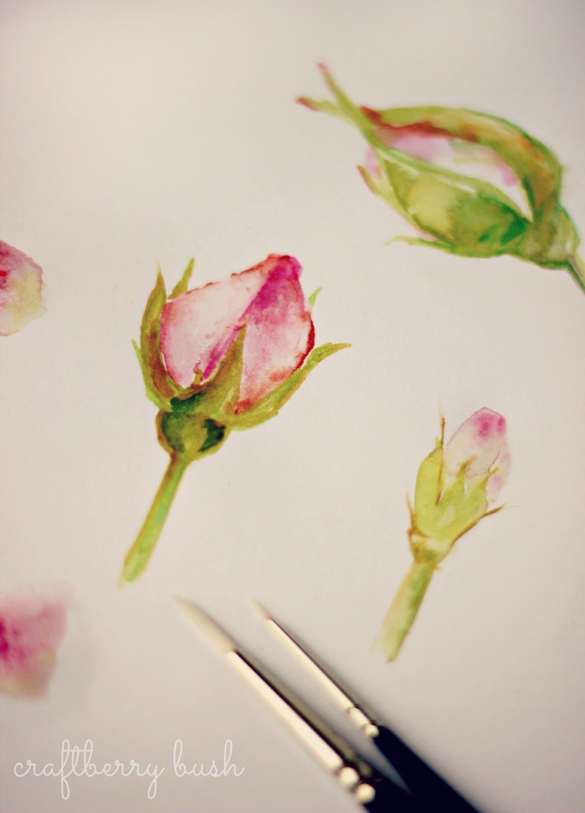 1153x1600 These Will Be Good For Simple Beginner Exercise Watercolors - Watercolor Flowers For Beginners