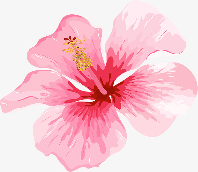 650x564 Pink Romantic Watercolor Flowers, Pink, Romantic, Flower Png And - Watercolor Flowers Pink