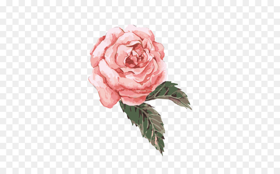 900x560 Flower Watercolor Painting Clip Art - Watercolor Flowers Pink