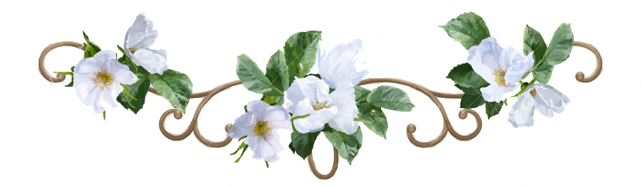 1300x378 Image - Watercolor Flowers Png