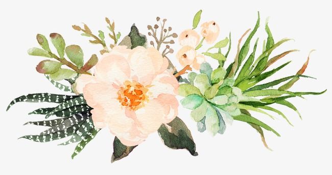 650x344 Pin By Elaine Thomas On Paint! In 2018 Pink - Watercolor Flowers Png