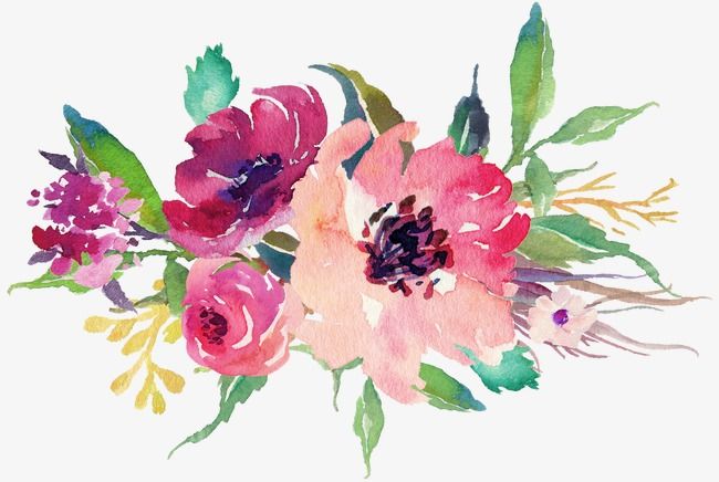 650x436 Pin By Iuliia Zhunkova On Logotip Watercolor, Drawings - Watercolor Flowers Png