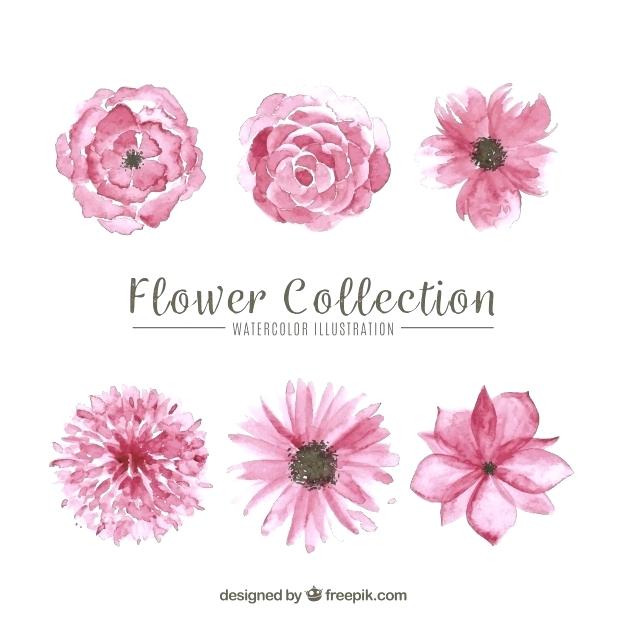 626x626 Pink Flowers Set Of Pink Flowers Free Vector Pink Watercolor - Watercolor Flowers Png