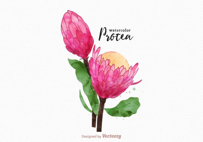 700x490 Watercolor Flower Free Vector Art 8,557 Free Amp Beautiful Files - Watercolor Flowers Png