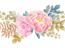 228x171 Watercolor Flowers Png Archives - Watercolor Flowers Png