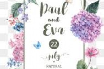 343x228 Free Flower Watercolor Vector - Watercolor Flowers Png Free