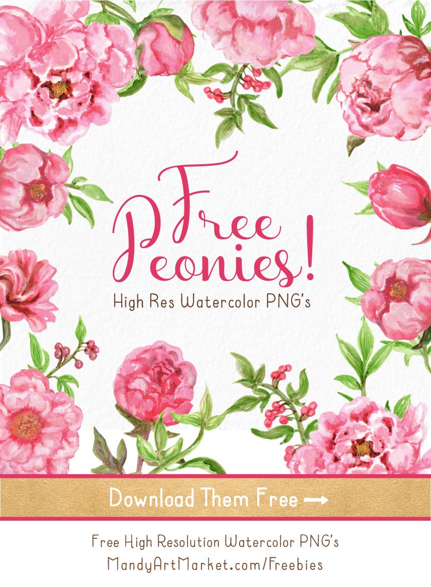 860x1169 Free Whimsical Facebook Covers Water, Watercolor And Fonts - Watercolor Flowers Png Free