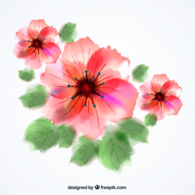 626x626 Watercolor Flowers Vector Free Download - Watercolor Flowers Png Free