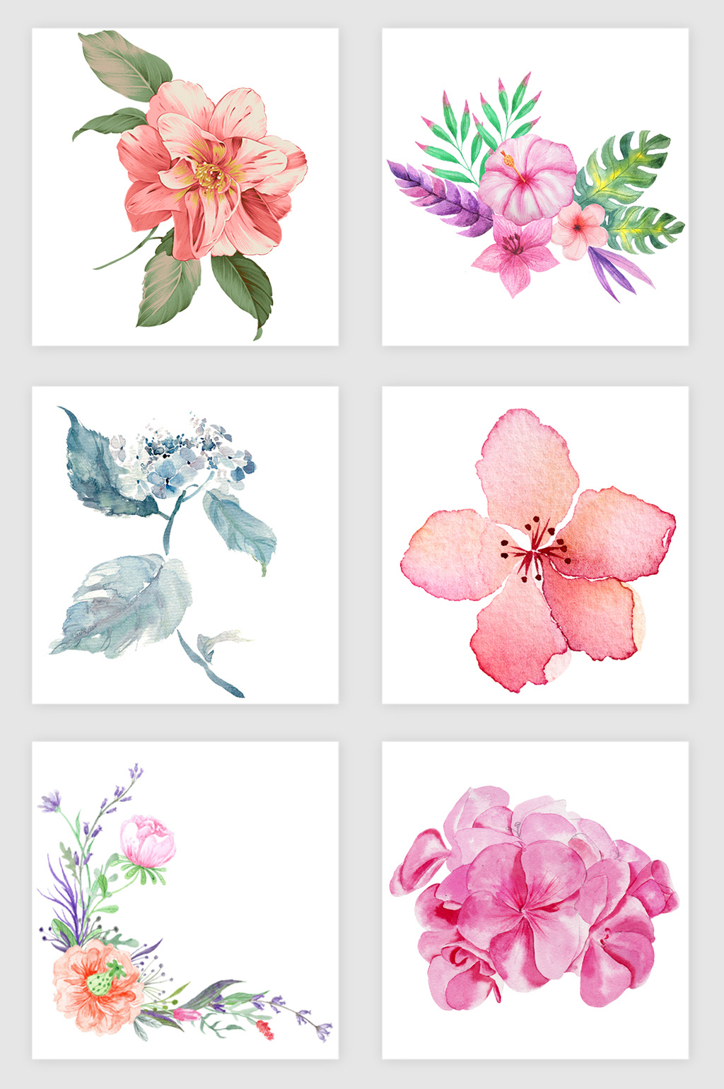 1024x1540 Flower Watercolor] Png Images,vector And Psd Free - Watercolor Flowers Psd