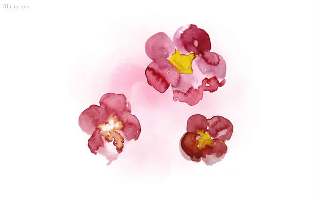 646x408 Watercolor Flower Psd Layered Material Flower Psd File Free Psd - Watercolor Flowers Psd