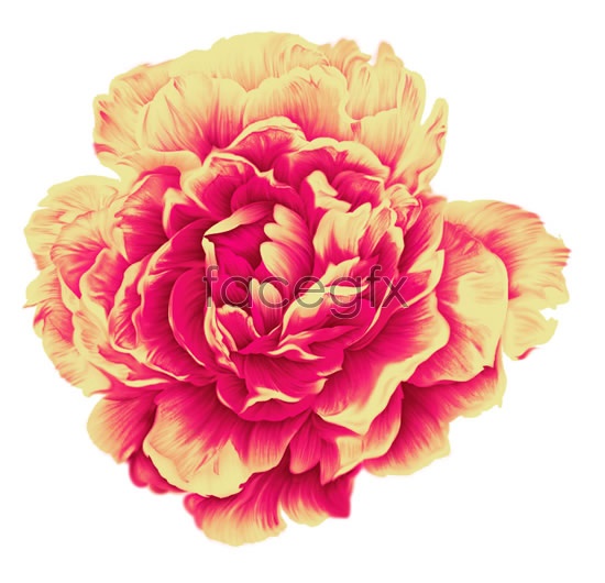 550x530 Watercolor Flowers Flowers Psd Over Millions Vectors, Stock - Watercolor Flowers Psd