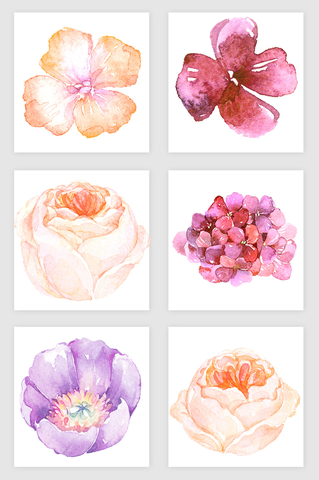 1024x1540 Watercolor Flower] Png Images,vector And Psd Free - Watercolor Flowers Psd