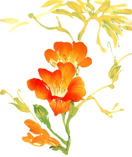 425x504 Artcity Watercolor Painting Effect Fashion Flowers Psd Layered - Watercolor Flowers Psd