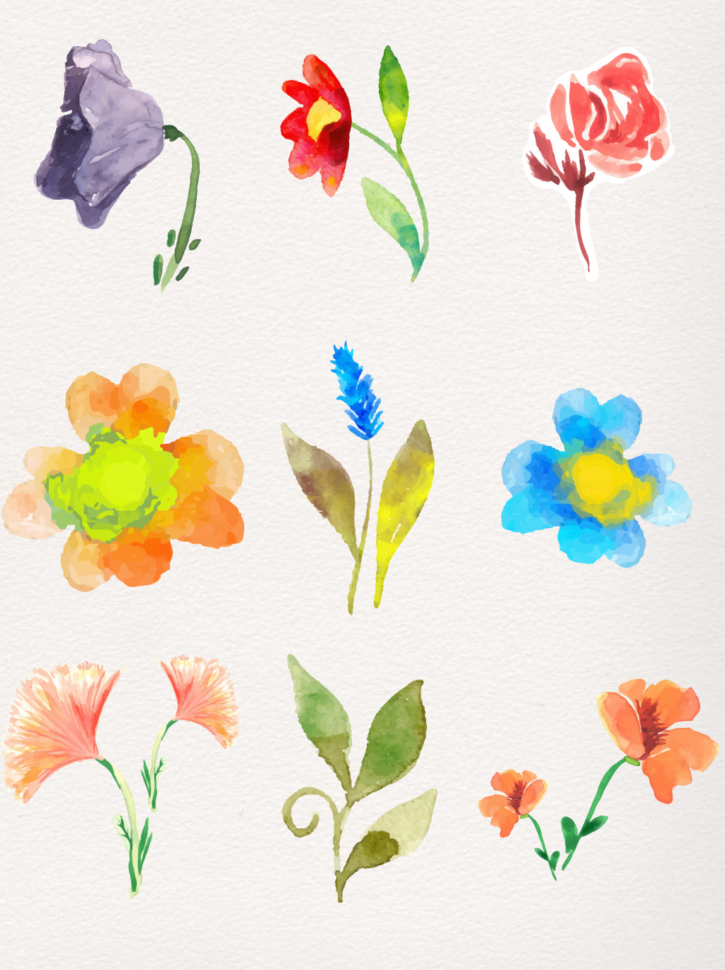 1024x1370 Flower Elements Of Watercolor Flowers Floral Free Download Psd - Watercolor Flowers Psd