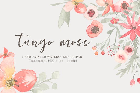 570x380 Tango Watercolor Flowers Clipart Files High Res Transparent Etsy - Watercolor Flowers Transparent