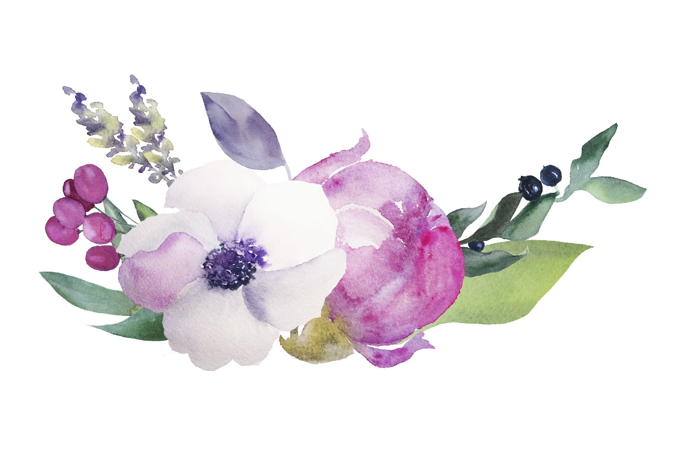 2320x1544 Watercolor Flowers Watercolor Flowers In 2018 - Watercolor Flowers Transparent